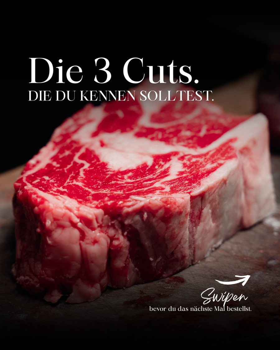 Rodizio Carousel Die 3 Cuts